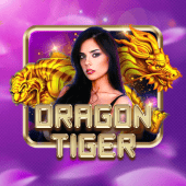 jl29 2026 Dragon Tiger